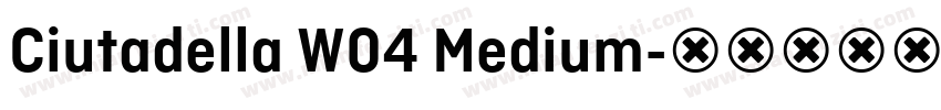 Ciutadella W04 Medium字体转换